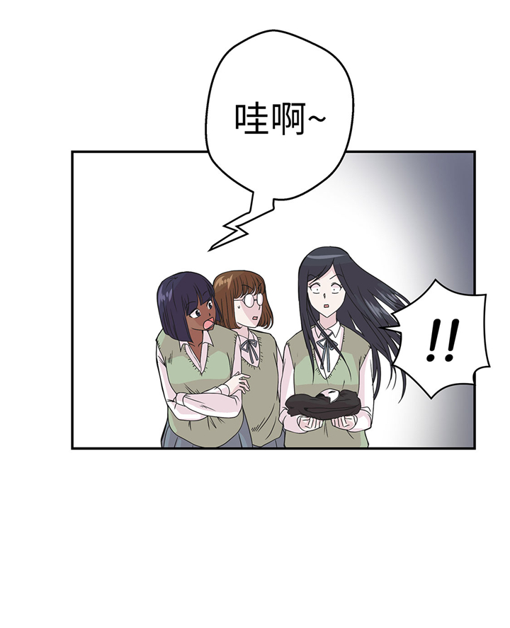 奇妙的动物观评课漫画,第74章：真是搞笑2图