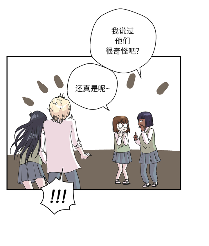 奇妙的动物车儿童画漫画,第75章：真是搞笑5图