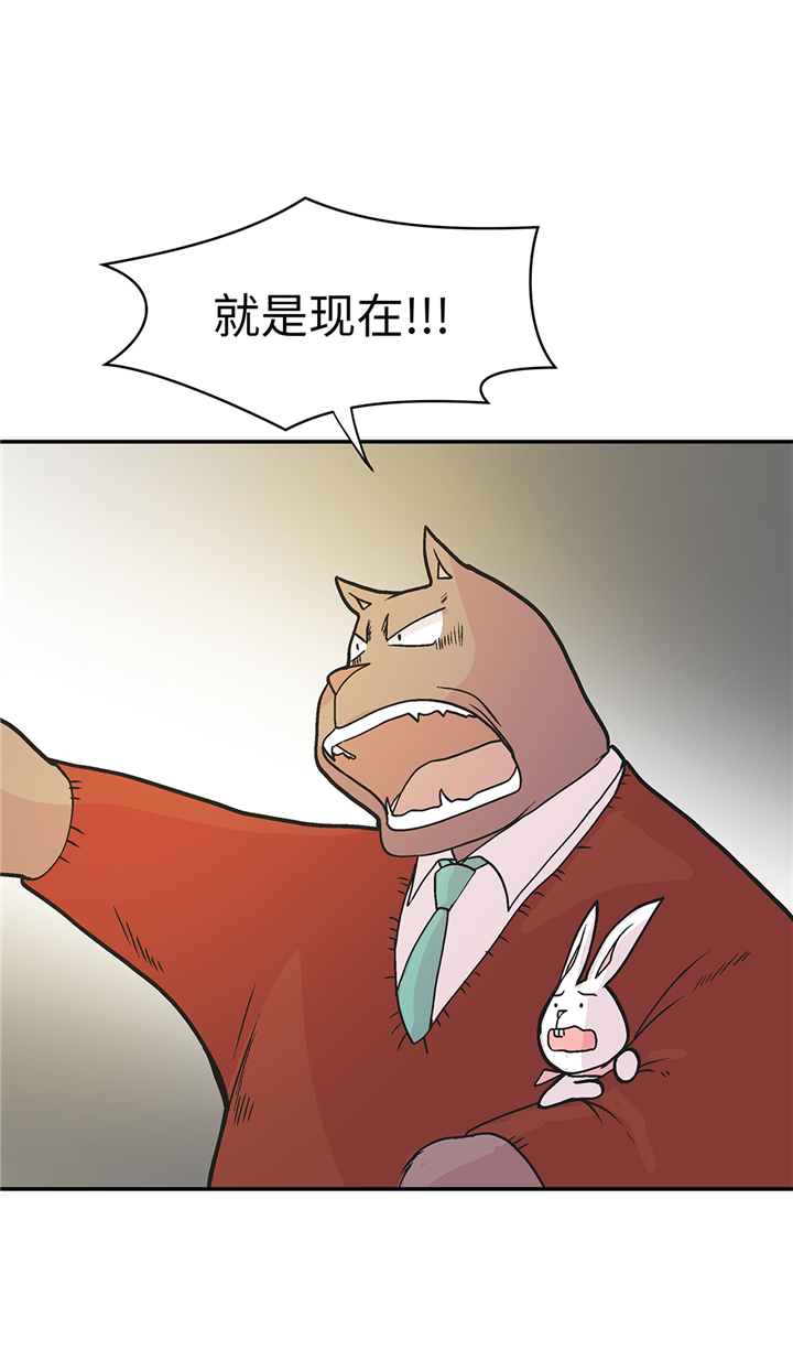奇妙的动物世界作文600字漫画,第91章：不要放弃，如意！2图
