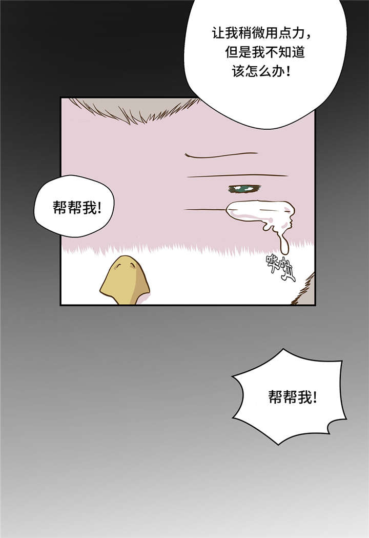 奇妙的动物玩耍漫画,第5章：救救她(下)1图