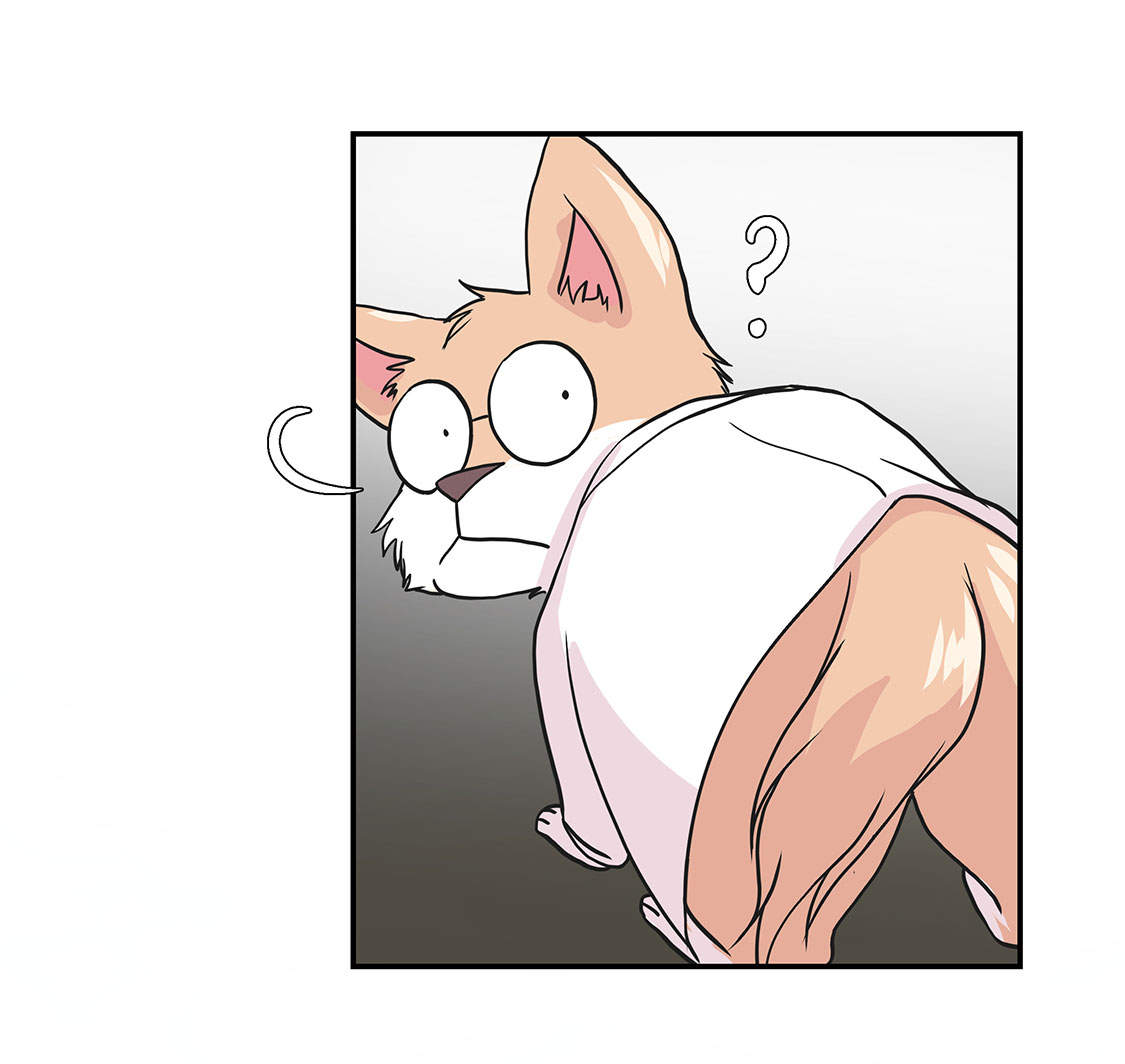 第35章：莱昂受伤0