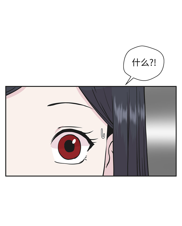 小学课外书奇妙的动物漫画,第71章：明天再来3图