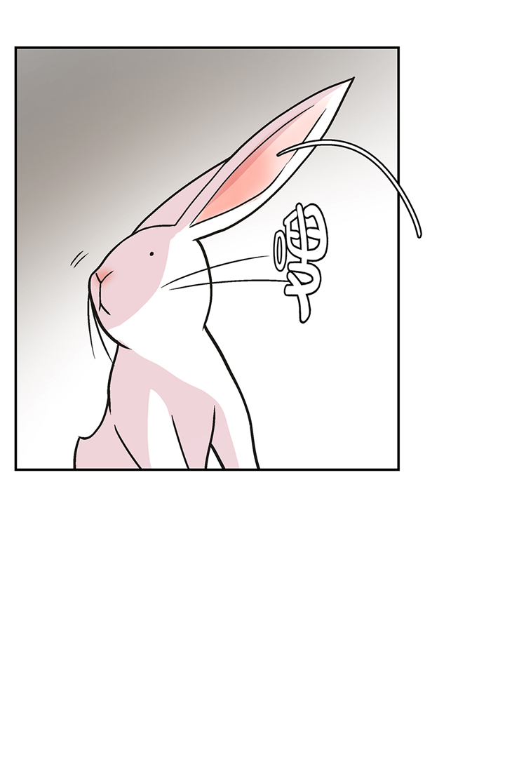 第95章：大结局4