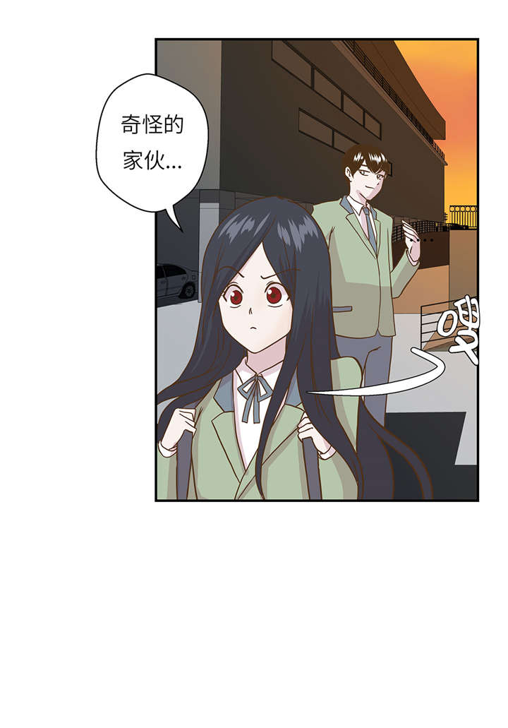 奇妙的动物车儿童画漫画,第12章：一起回家1图