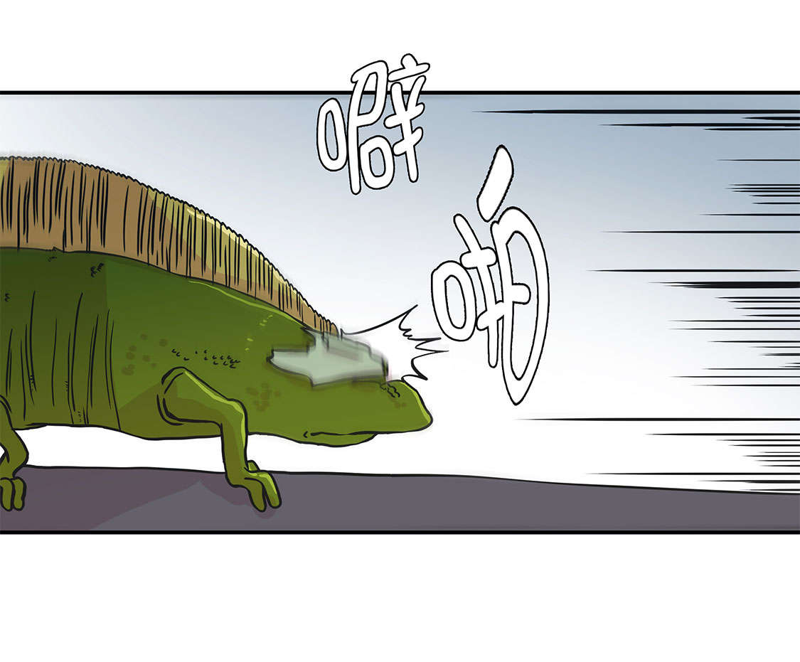 奇妙的动物世界作文600字漫画,第42章：坚持住4图