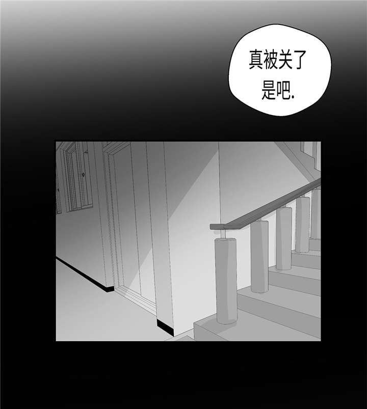 第31章： 只为见到你2