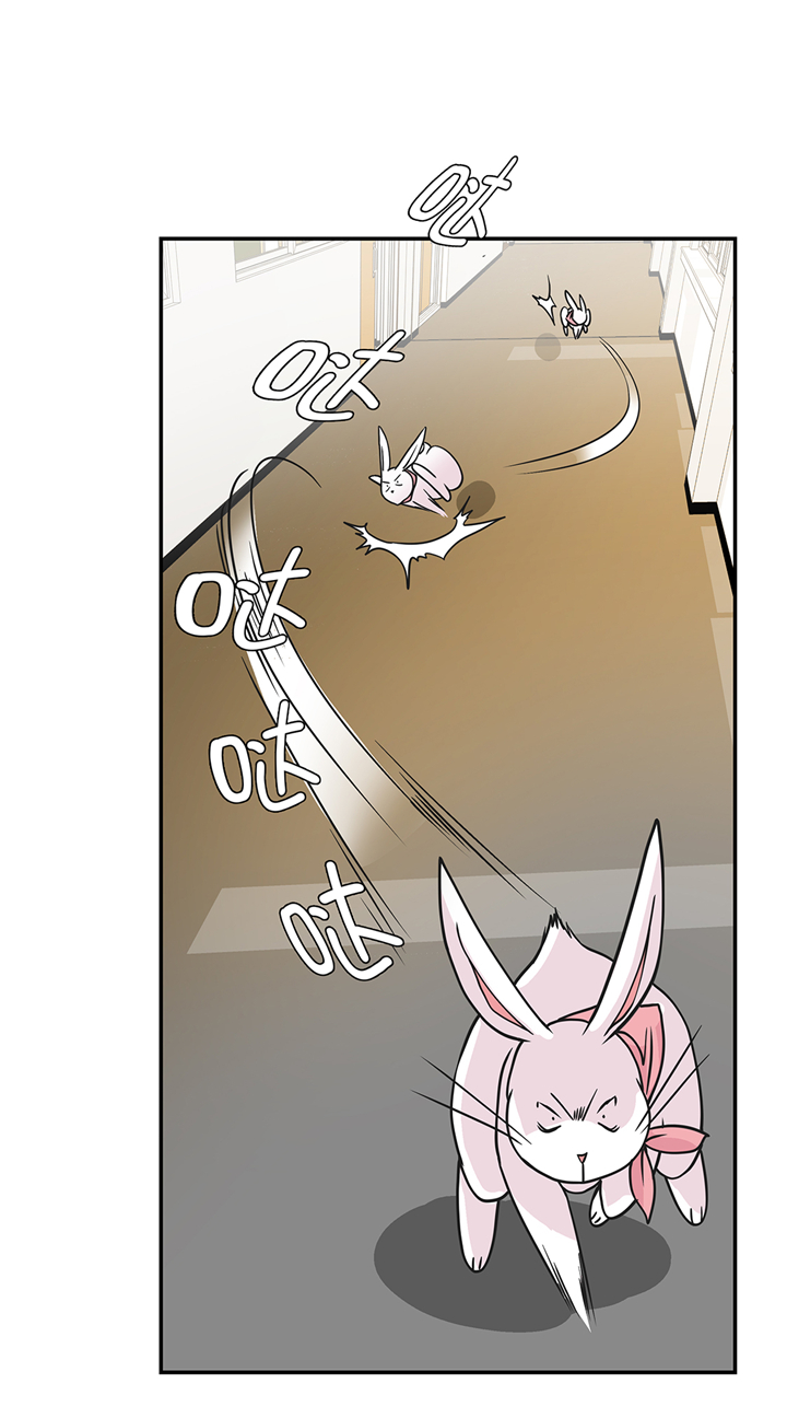 奇妙的动物高中漫画,第75章：真是搞笑3图