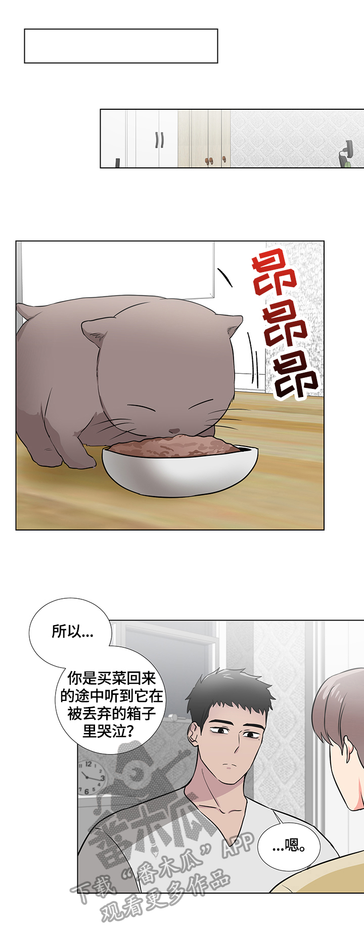 反向饲养二八载漫画,第64章：捡回一只猫2图