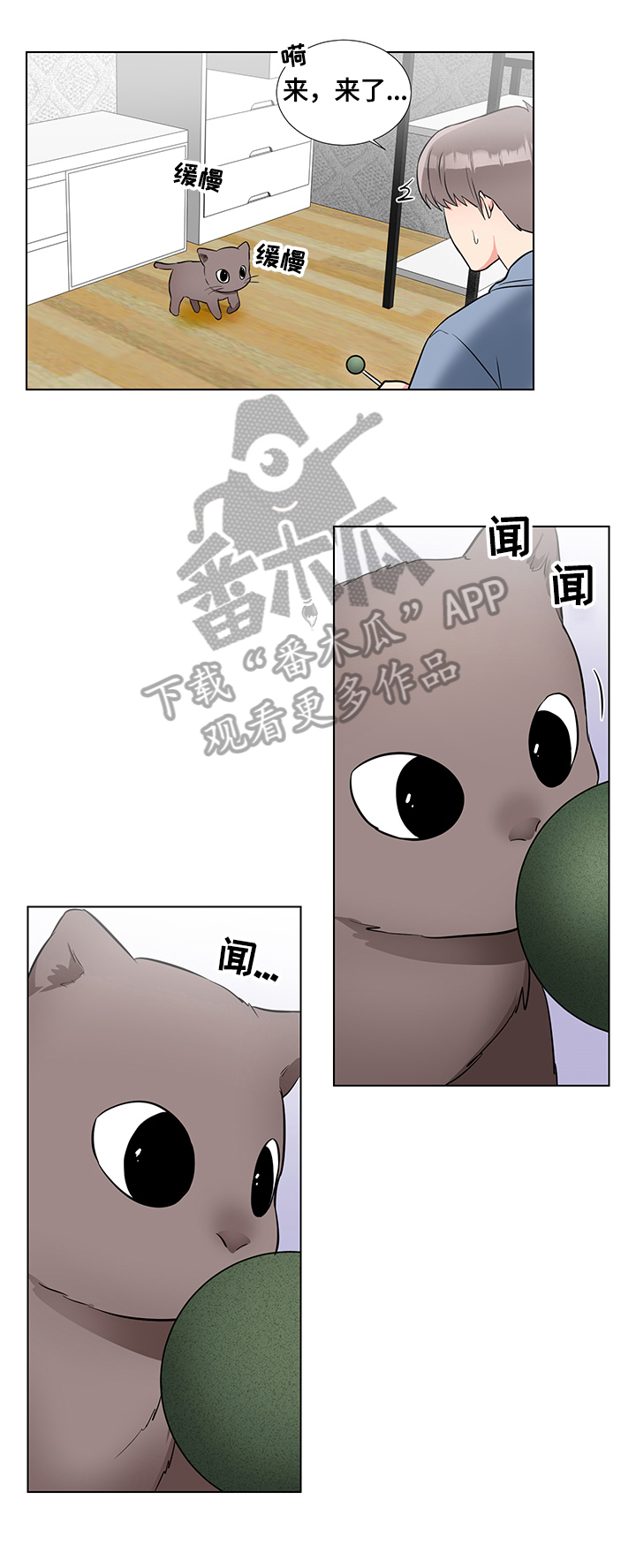 反向饲养漫画,第66章：猫薄荷3图