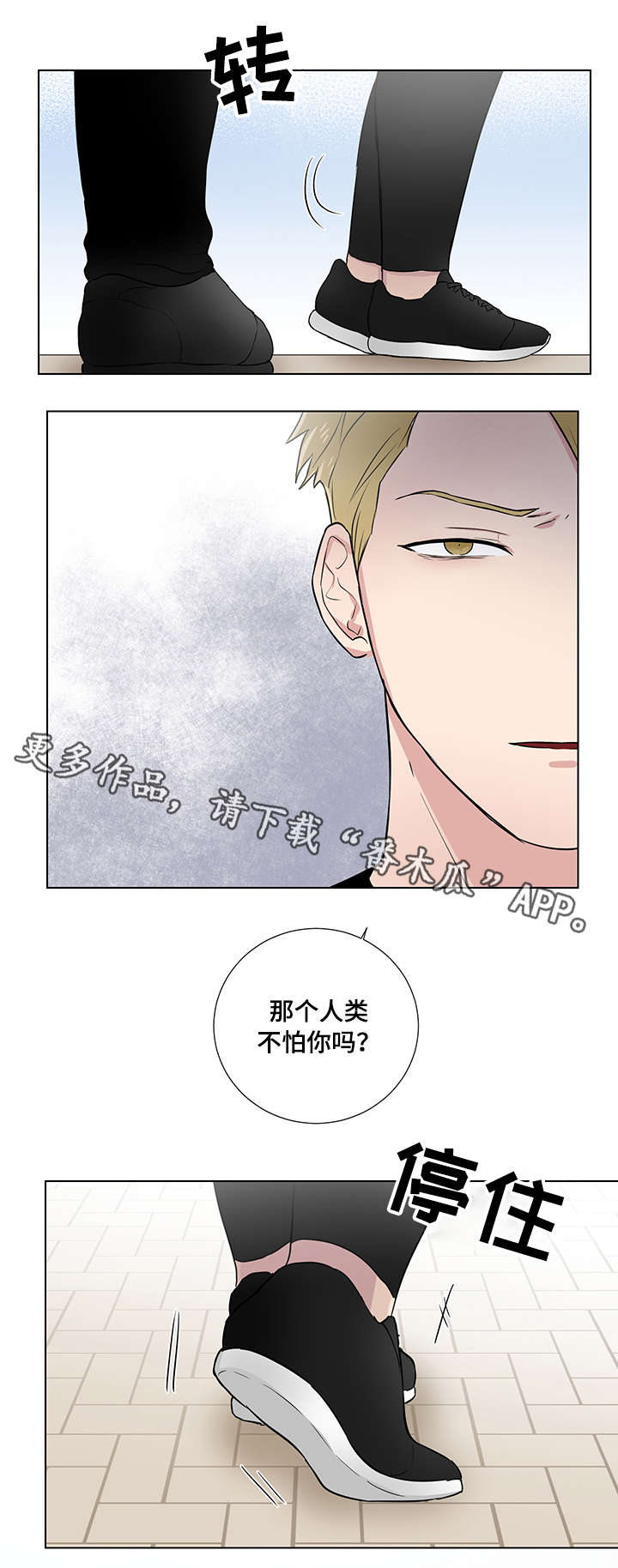 反向饲养小说情节介绍漫画,第23章：普通人2图