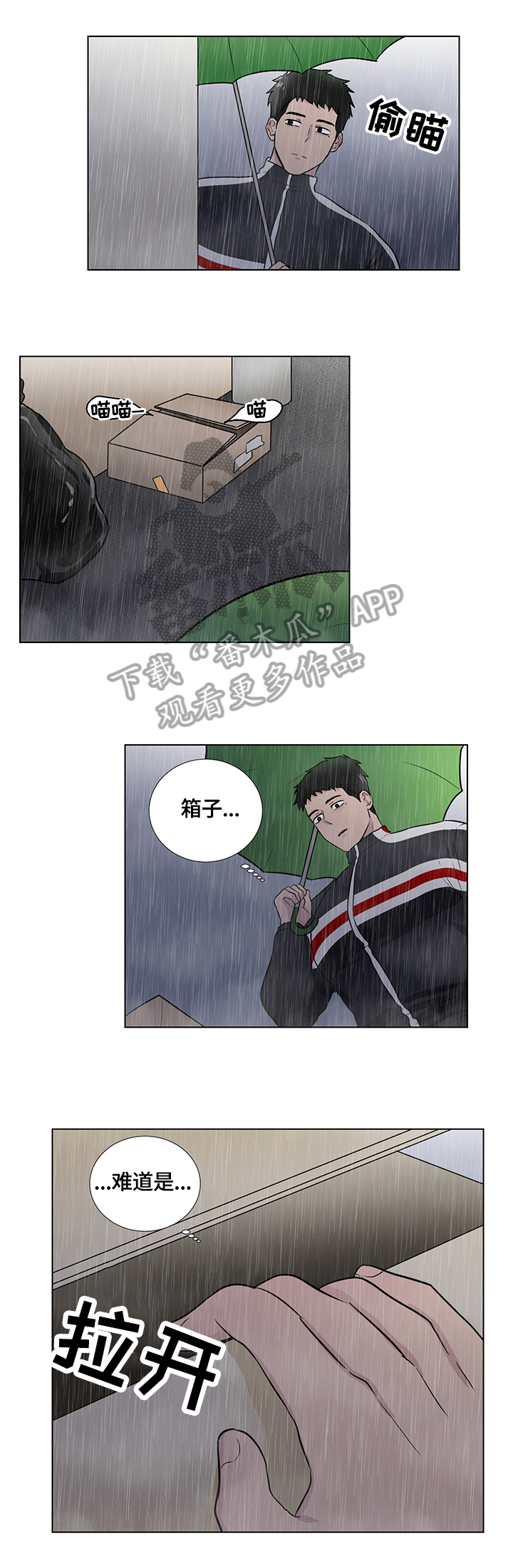 反向饲养漫画,第64章：捡回一只猫3图