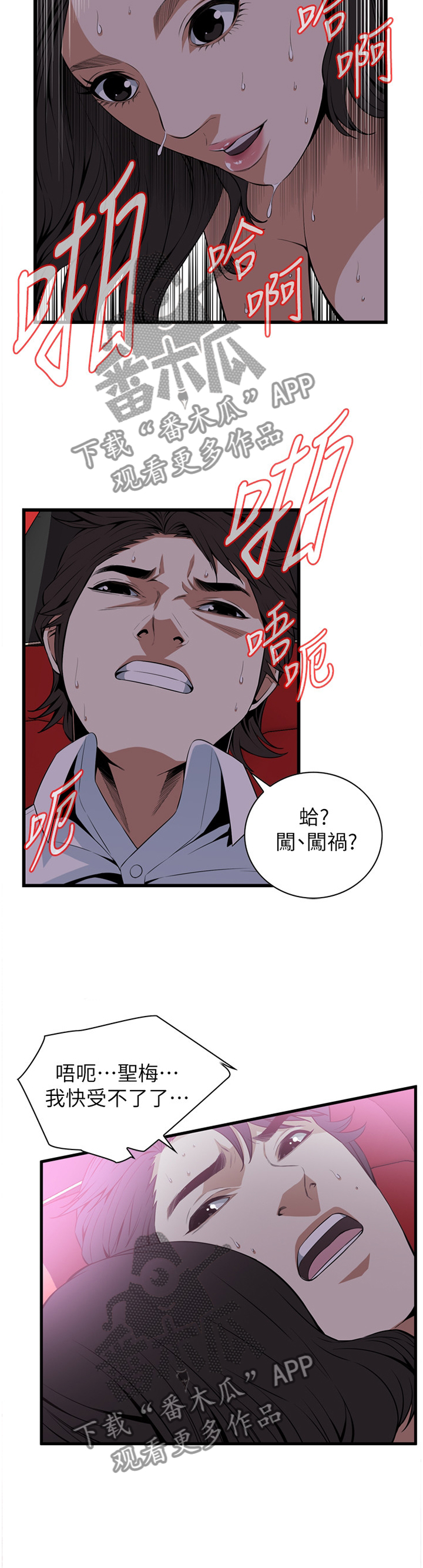 窥视者2免费阅读全文漫画,第111章：一起闯祸3图