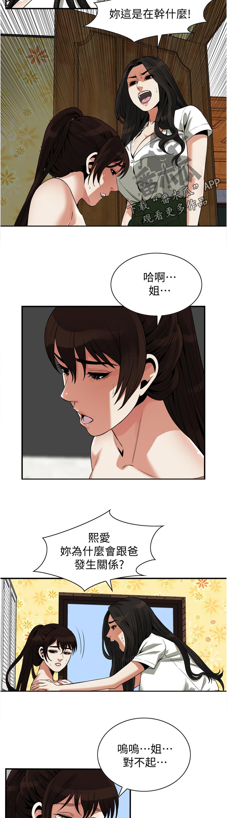 窥视者2021完整版星辰免费版在线观看漫画,第296章：后宫4图