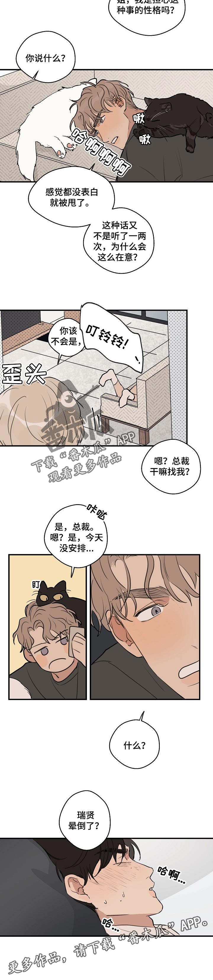 时尚跑道漫画,第49章：【第二季】晕倒了3图
