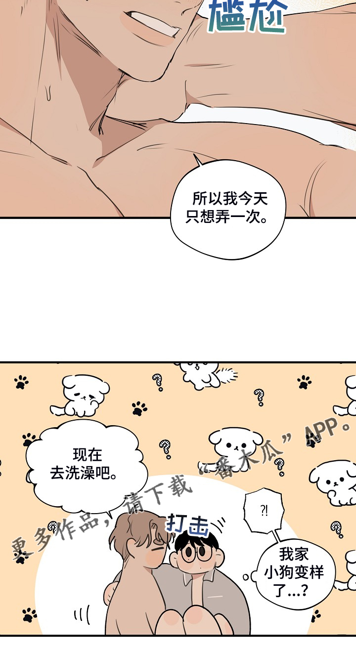 时尚跑道漫画,第88章：【第二季】小狗变样了5图