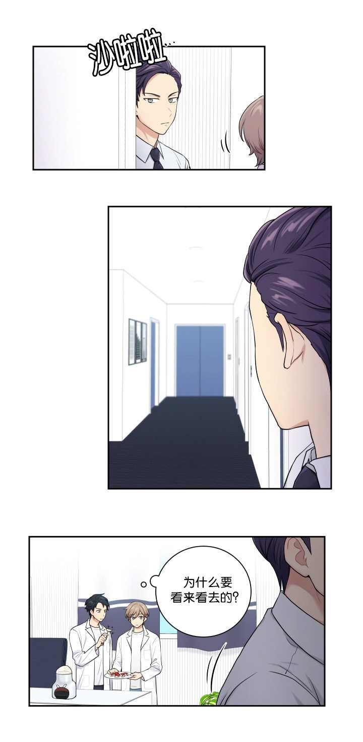 贴身奸细漫画,第19章：理解一下3图