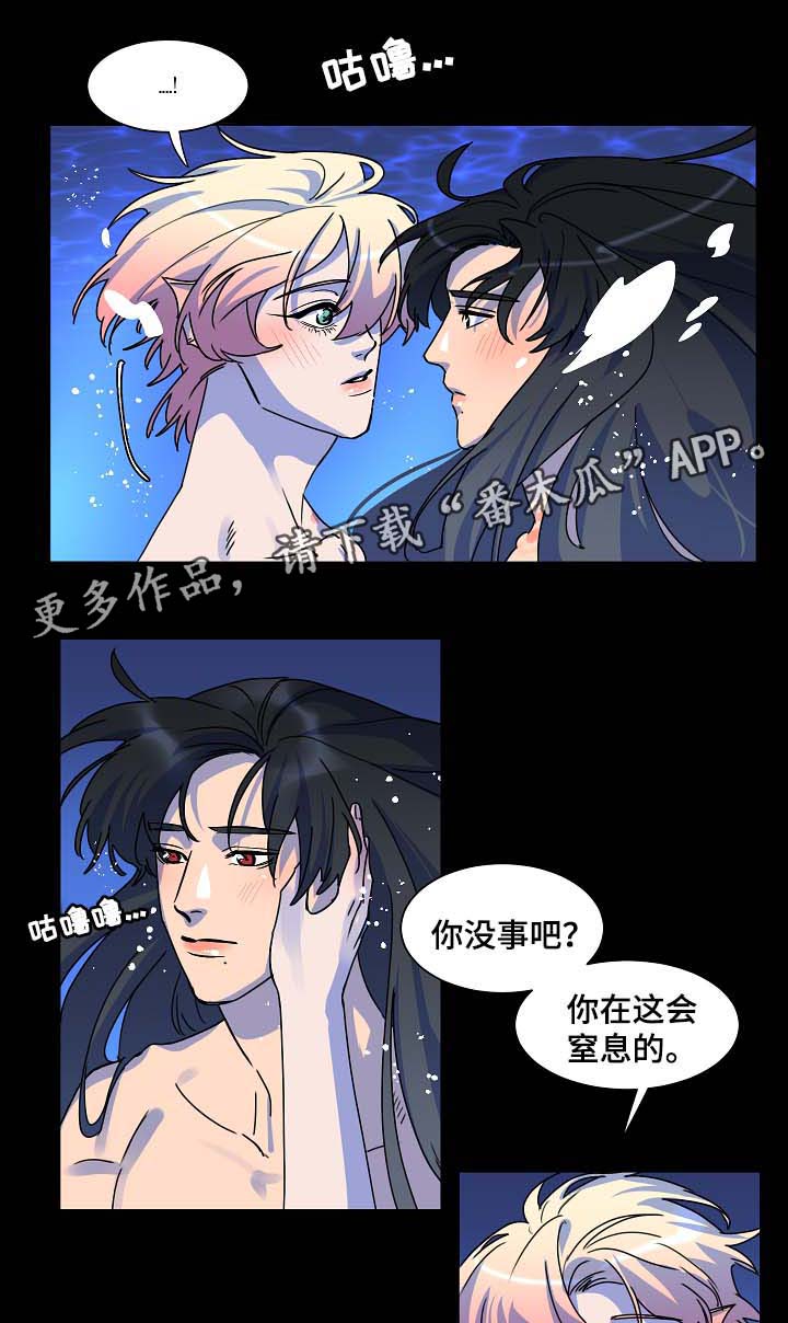 人鱼的泪水漫画,第32章：月下美景2图