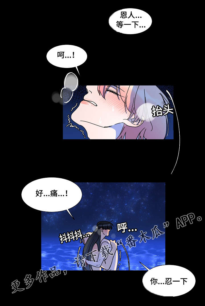 人鱼的泪水漫画,第31章：我很喜欢你2图