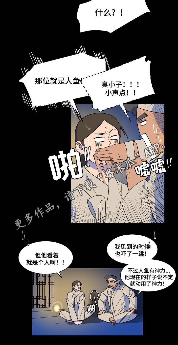 人鱼的泪水漫画,第42章：人鱼往事3图