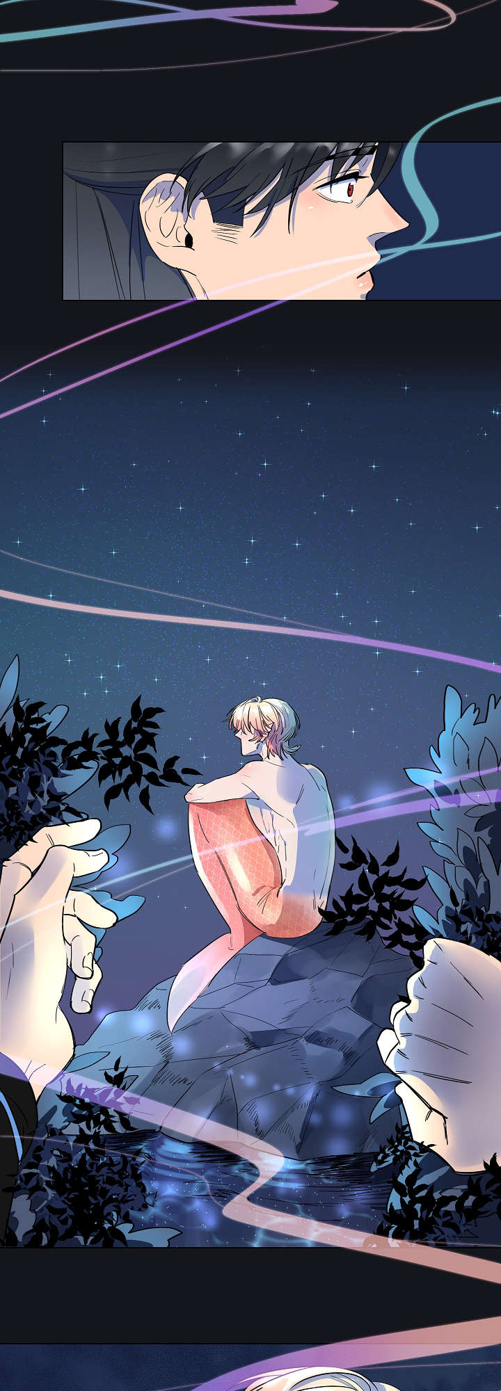 人鱼的泪水漫画,第2章：人鱼3图