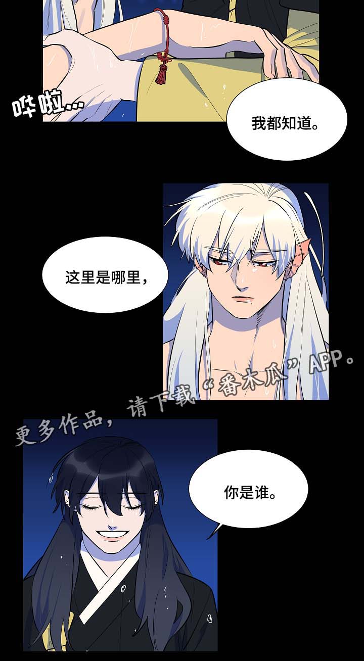 人鱼的泪水漫画,第63章：我会一直爱着你（完结）4图