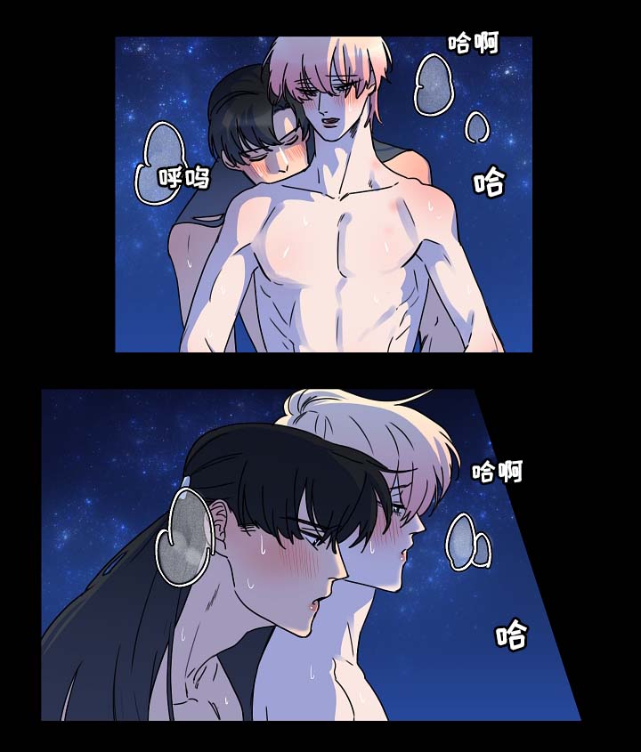 人鱼的泪水漫画,第32章：月下美景4图