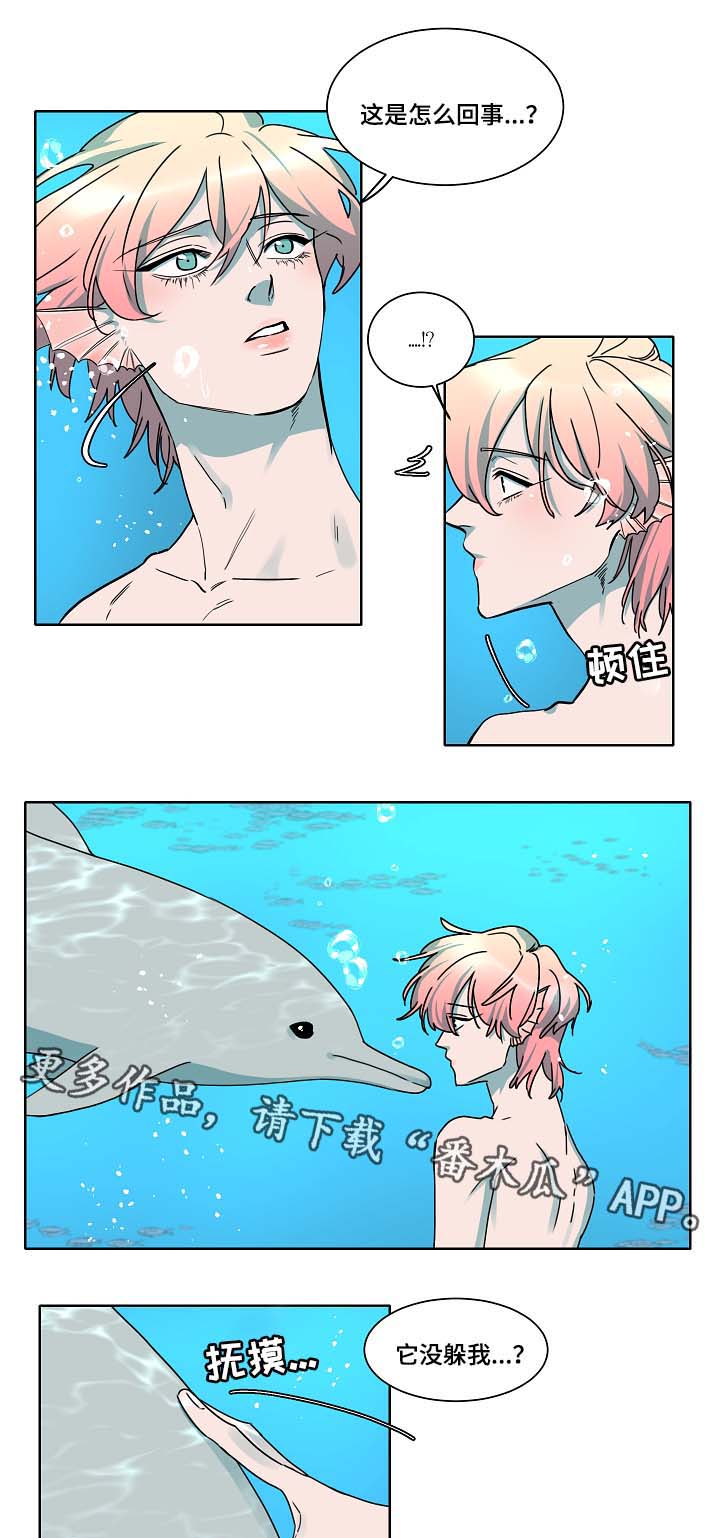 人鱼的泪水漫画,第38章：是人鱼吗1图