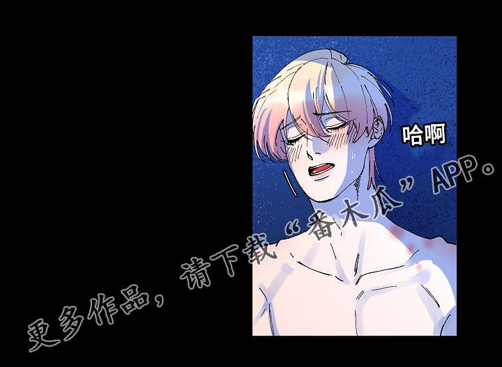 人鱼的泪水漫画,第31章：我很喜欢你1图
