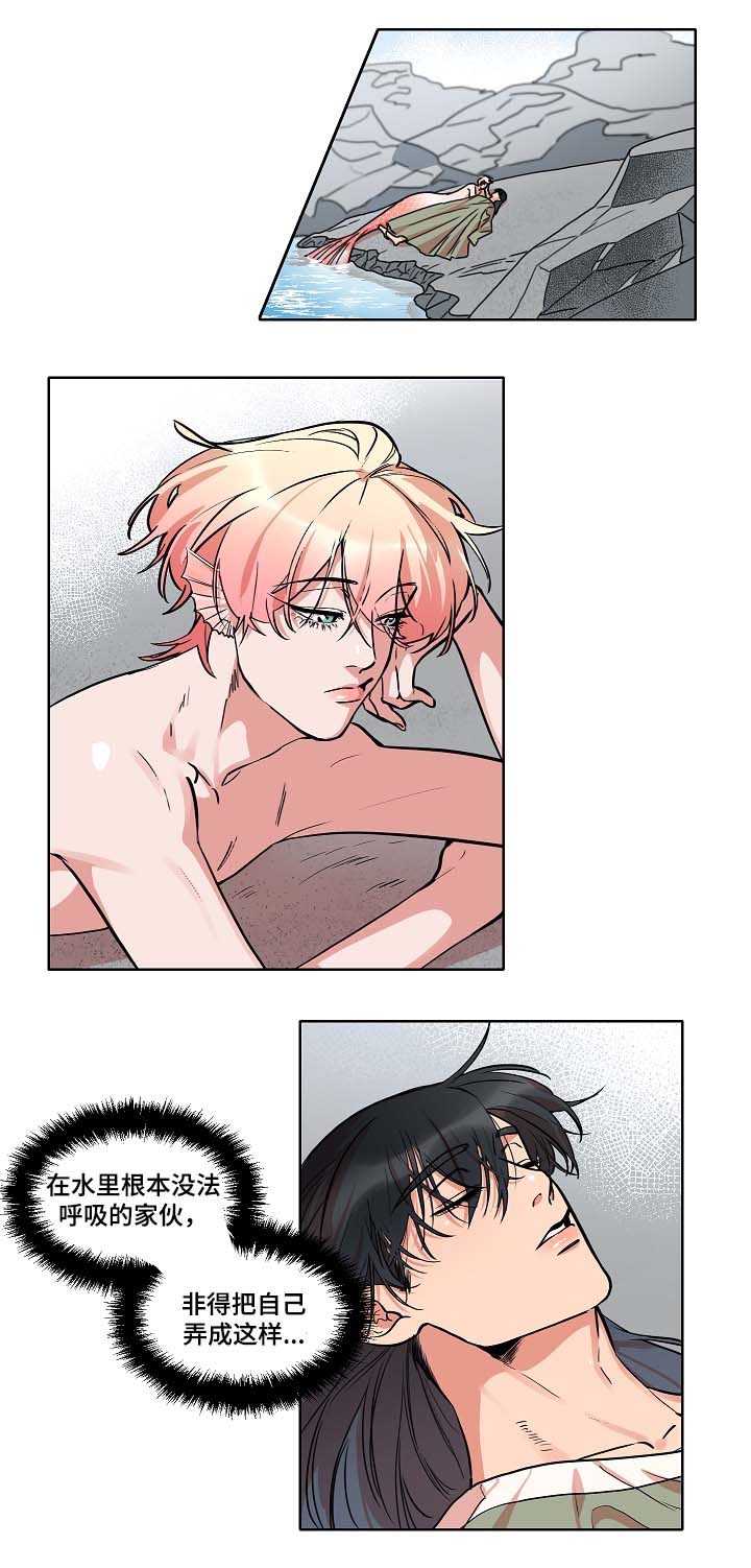 人鱼的泪水漫画,第36章：好好考虑5图