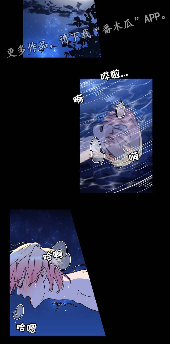 人鱼的泪水漫画,第32章：月下美景5图