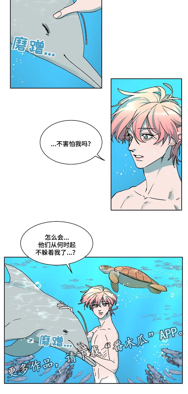 人鱼的泪水漫画,第38章：是人鱼吗2图