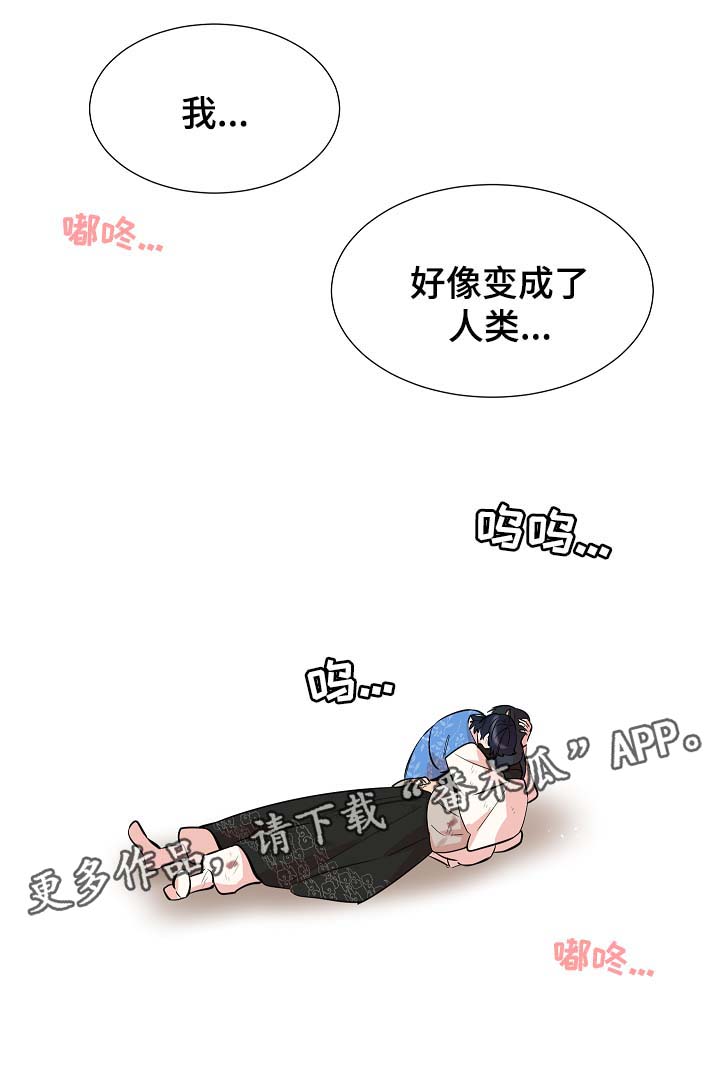 人鱼的泪水漫画,第61章：变回人类4图