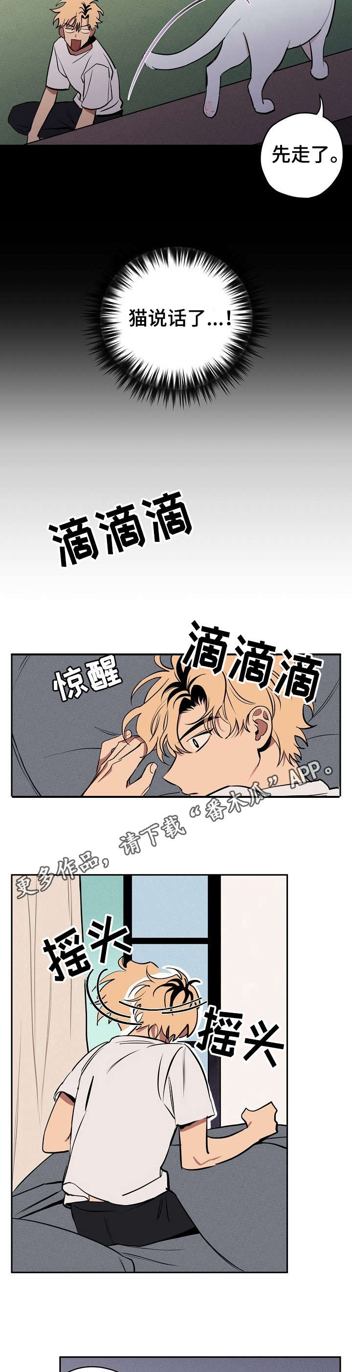 记忆轨迹漫画,第10章：说话的猫4图