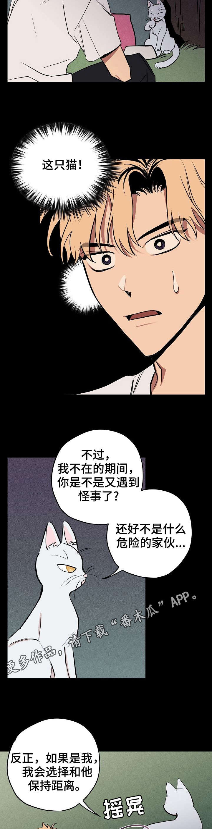 记忆轨迹漫画,第10章：说话的猫3图