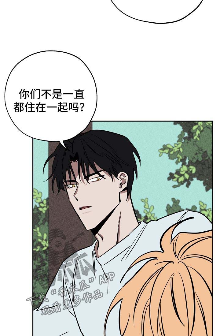 记忆轨迹漫画,第20章：落单3图