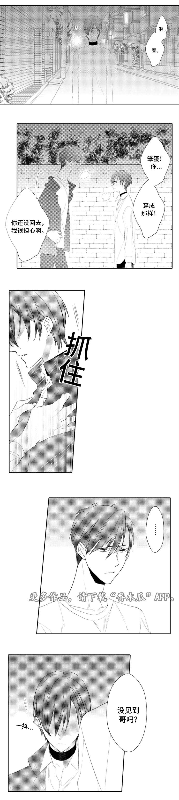 笼中爱人漫画,第27章：找不到2图