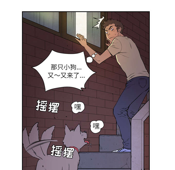牛皮吹大了漫画,第10章：适度5图