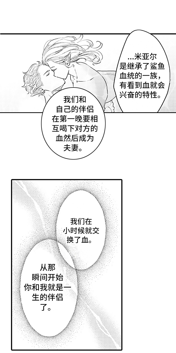 献给鲨鱼家族漫画,第25章：忘不掉4图