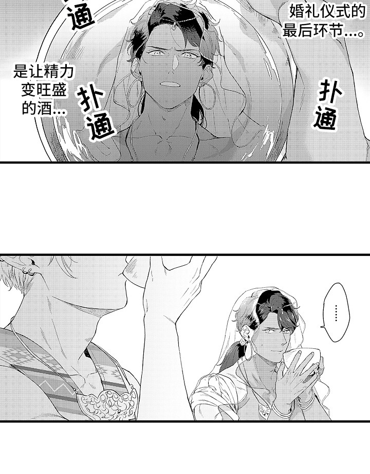 献给鲨鱼家族漫画,第7章：婚礼1图