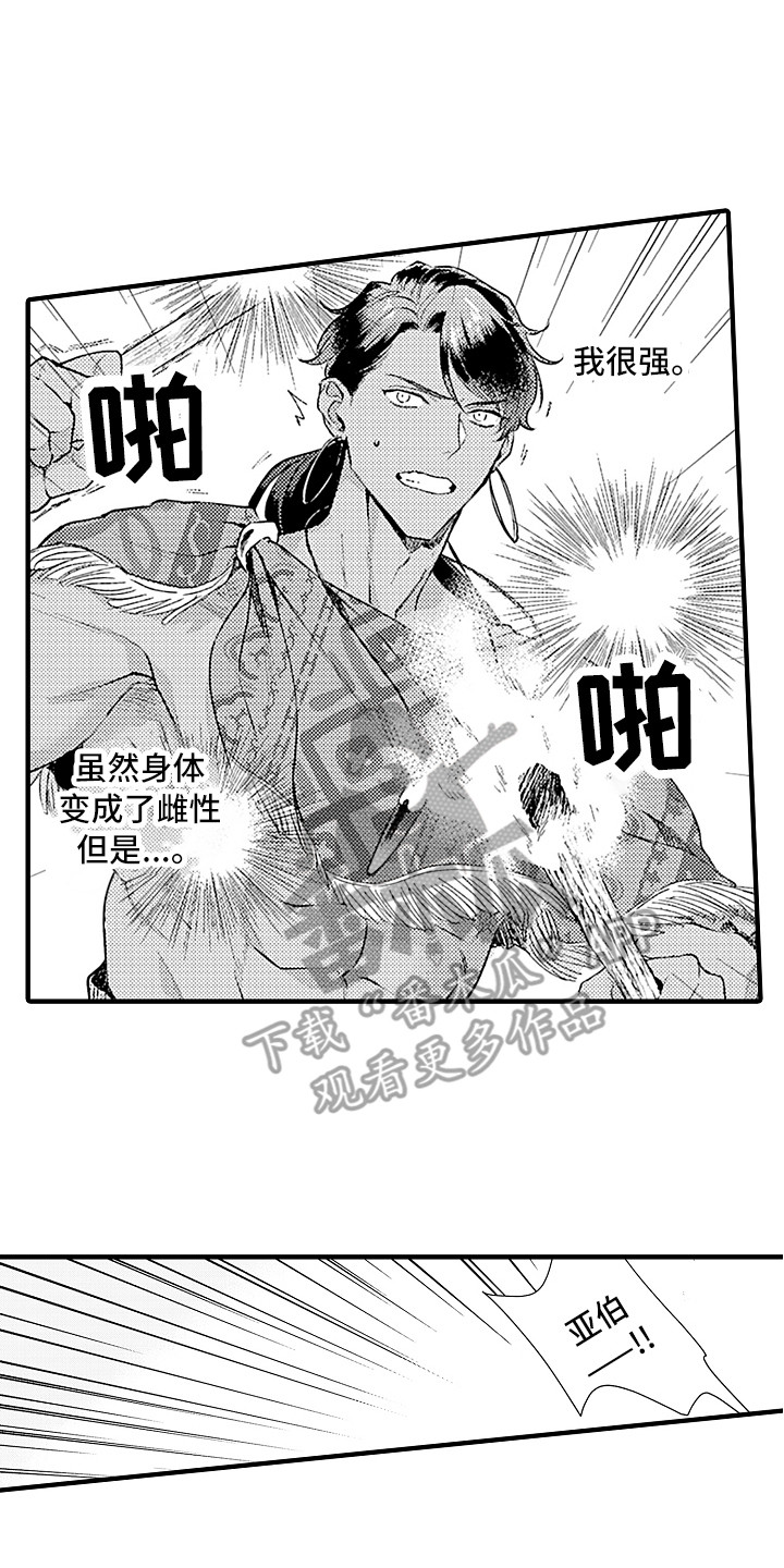 献给鲨鱼家族漫画,第23章：配合2图