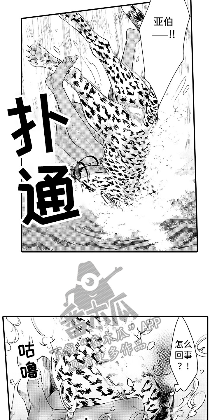 献给鲨鱼家族漫画,第23章：配合3图