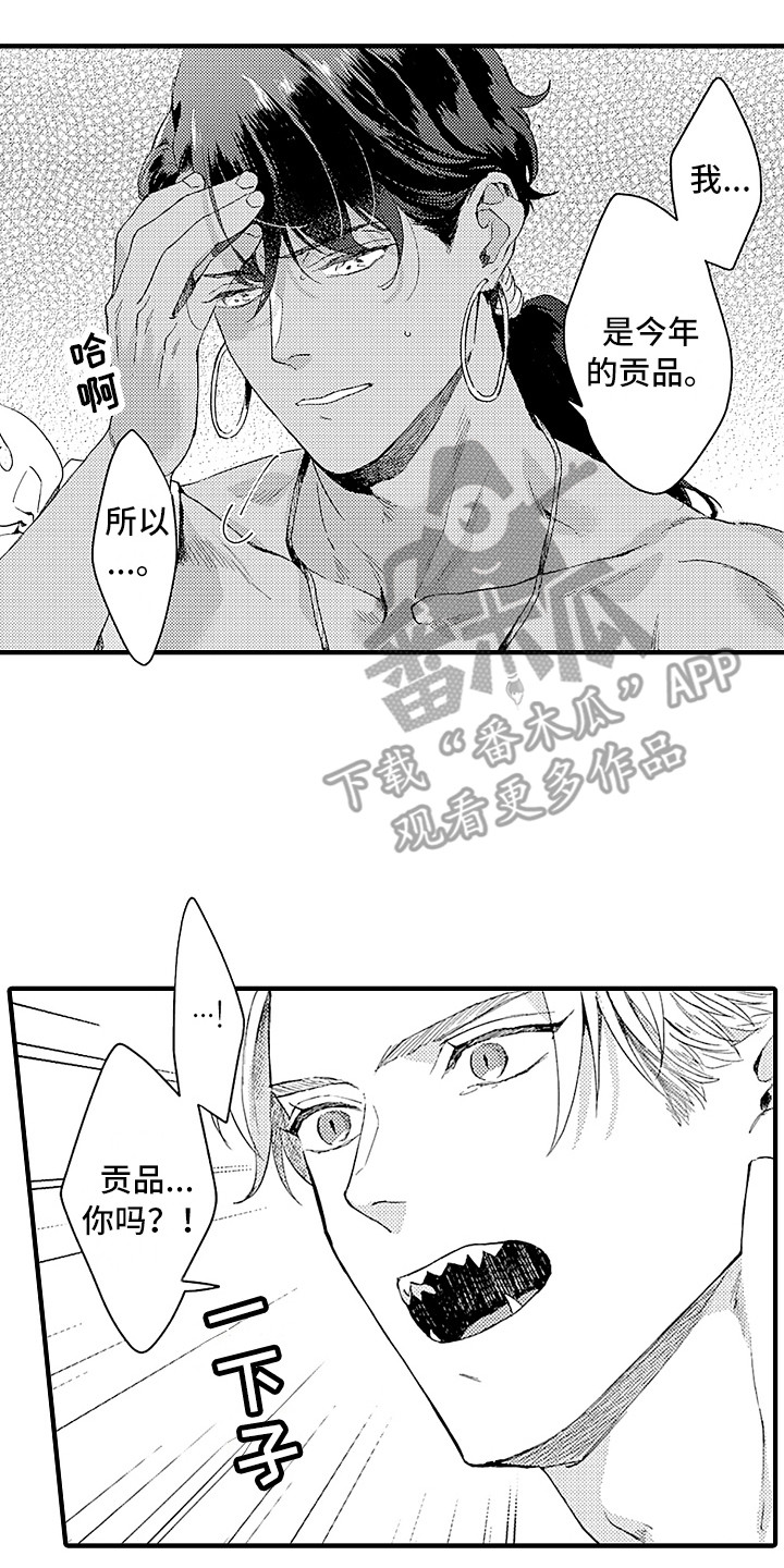 献给鲨鱼家族漫画,第7章：婚礼2图