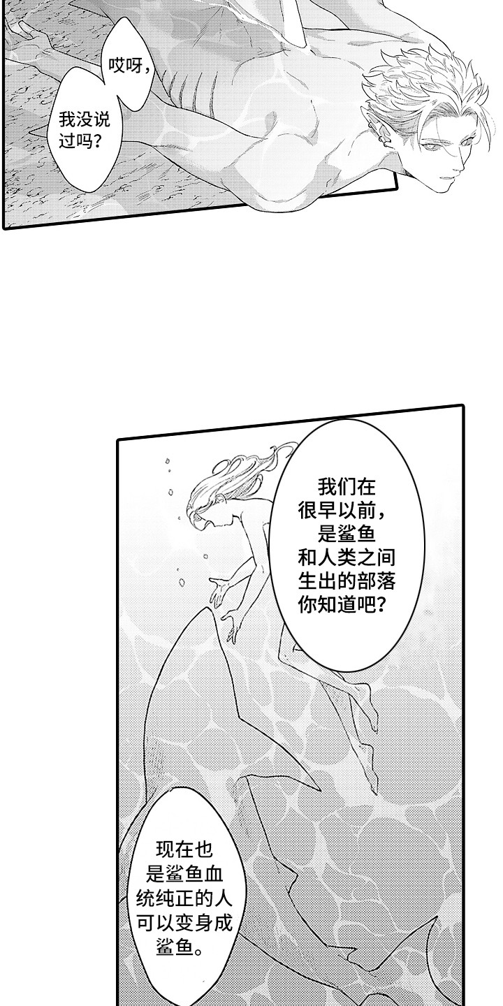 献给鲨鱼家族漫画,第11章：变身鲨鱼4图