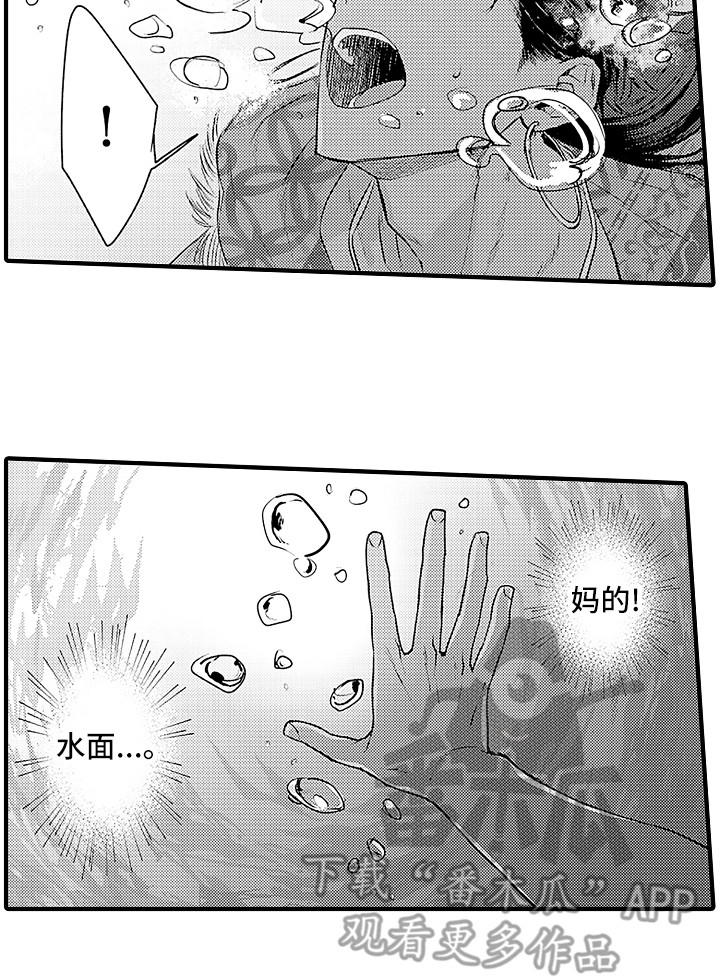 献给鲨鱼家族漫画,第23章：配合1图