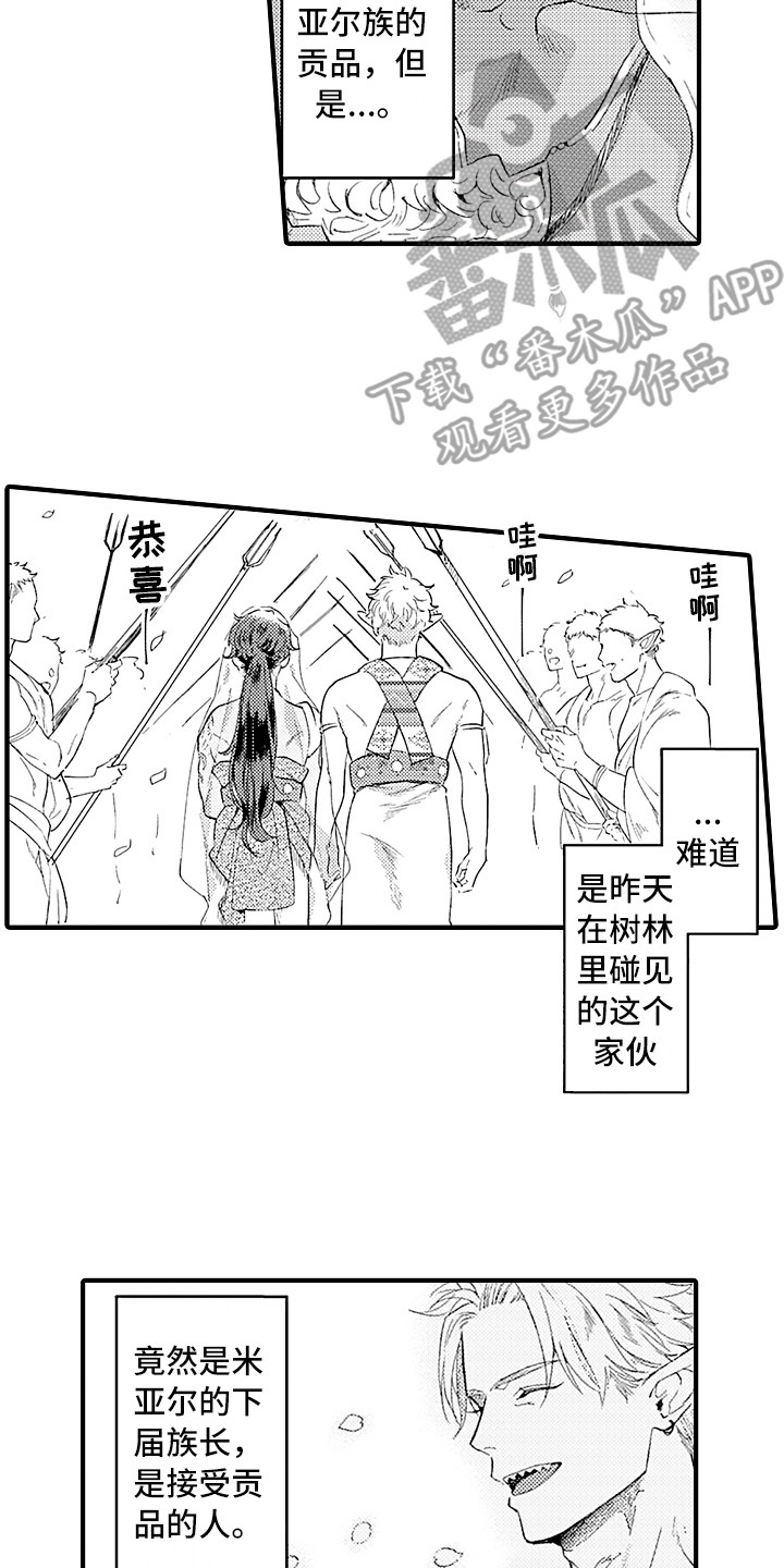献给鲨鱼家族漫画,第6章：贡品1图