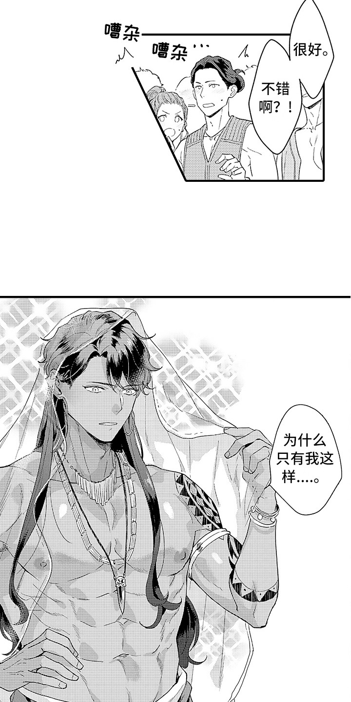 献给鲨鱼家族漫画,第17章：受欢迎4图