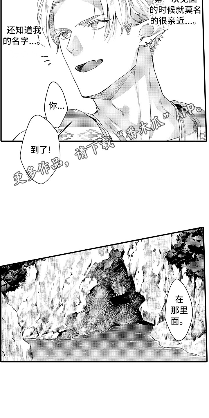 献给鲨鱼家族漫画,第8章：觉悟4图