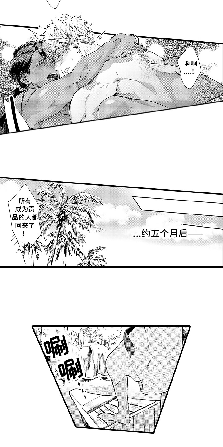 献给鲨鱼家族漫画,第31章：归乡2图