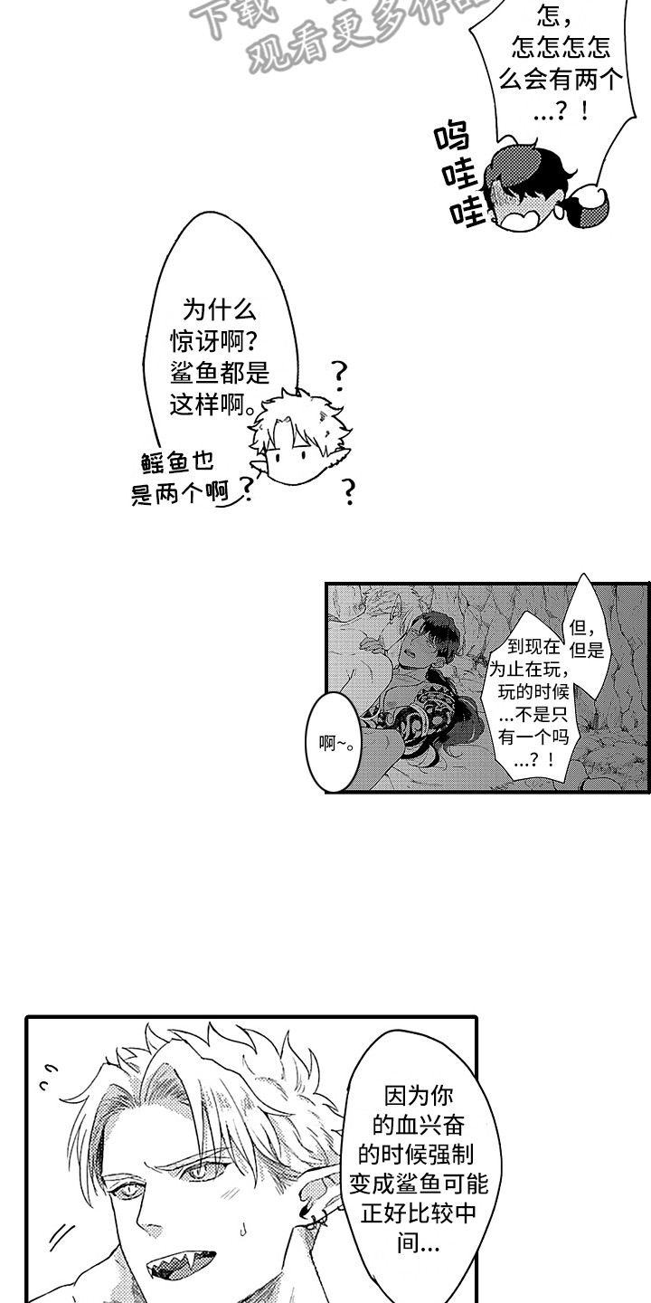 献给鲨鱼家族漫画,第12章：好奇2图