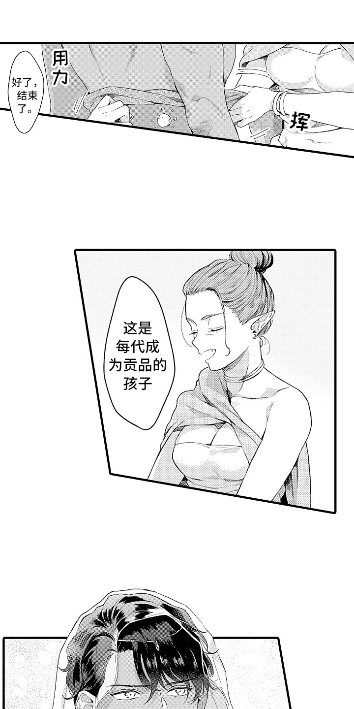 献给鲨鱼家族漫画,第6章：贡品3图